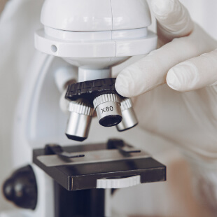 Pet Diagnostics in La Jolla